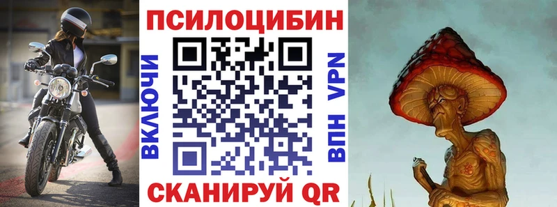блэк спрут tor  Ижевск  Галлюциногенные грибы мухоморы 